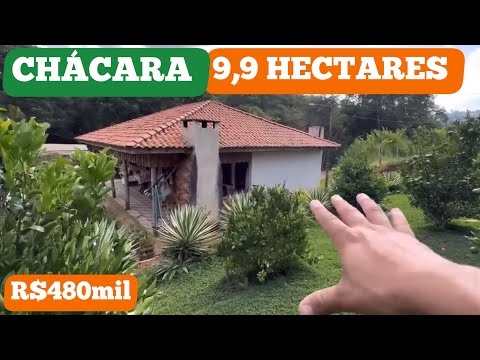Foto do imóvel CHÁCARA LINDO RIBEIRÃO CASA GRANDE 9,9 HECTARES PASTO MANGUEIRÃO R$480mil