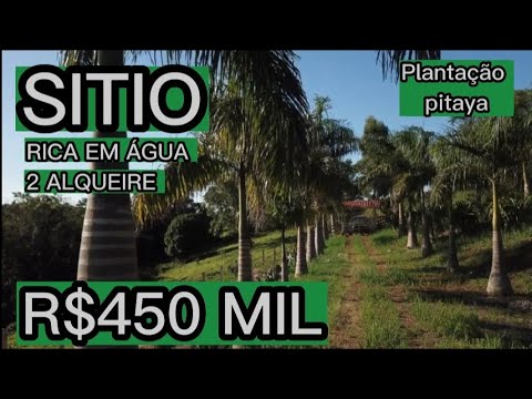 Foto do imóvel SÍTIO EXCELENTE. RICO EM ÁGUA + PLANTAÇÃO DE PITAYA - R$450 MIL