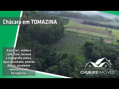 Foto do imóvel 42MIL m2 CAFÉ + MILHO + FUNDO RIO DAS CINZAS PLANA R$250MIL
